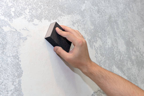 Fruitland, ID Mold Removal Company