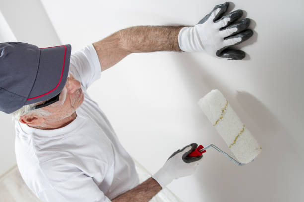 Best Dehumidification Services  in Fruitland, ID