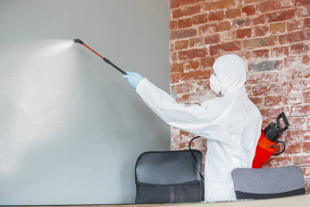 Best Mold Damage Restoration  in Fruitland, ID