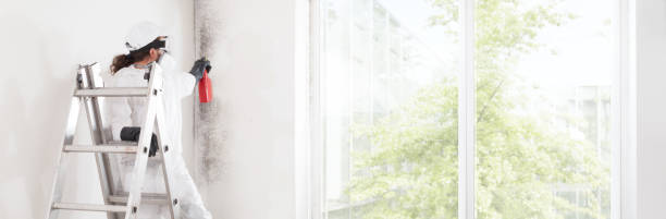 Dehumidification Services in Fruitland, ID