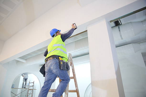 Best Real Estate Mold Inspection  in Fruitland, ID