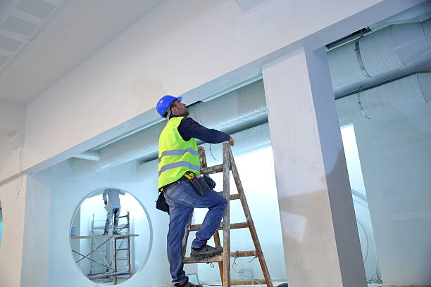 Best Mold Removal for HVAC Installations  in Fruitland, ID
